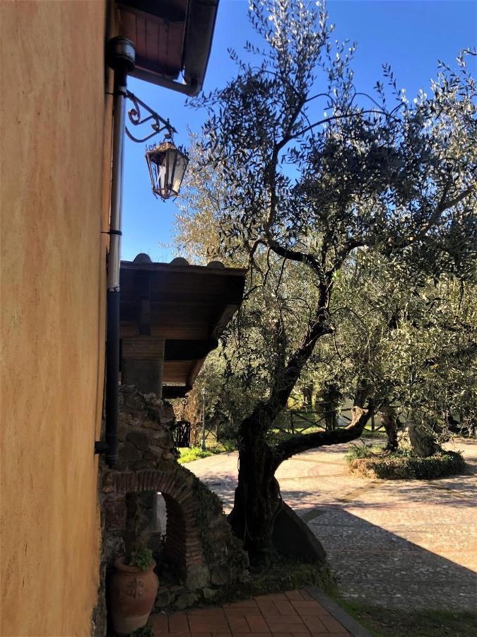 Villa Depandance, Casale l'Antica Mola Castel Madama Esterno foto