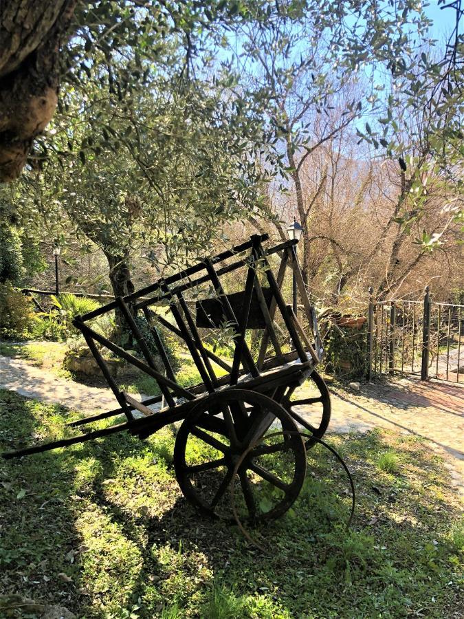 Villa Depandance, Casale l'Antica Mola Castel Madama Esterno foto