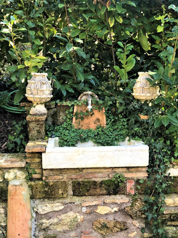Villa Depandance, Casale l'Antica Mola Castel Madama Esterno foto