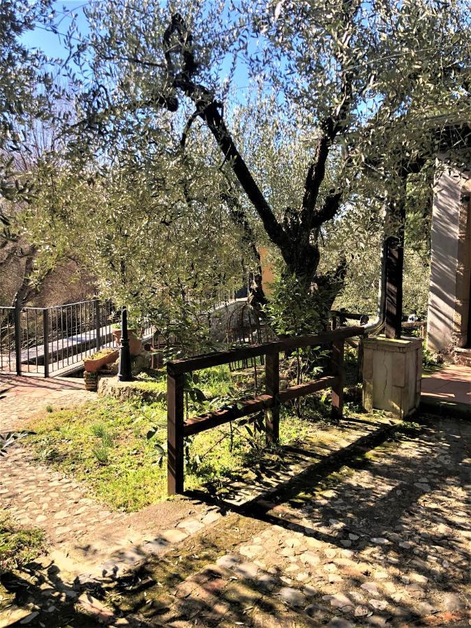 Villa Depandance, Casale l'Antica Mola Castel Madama Esterno foto
